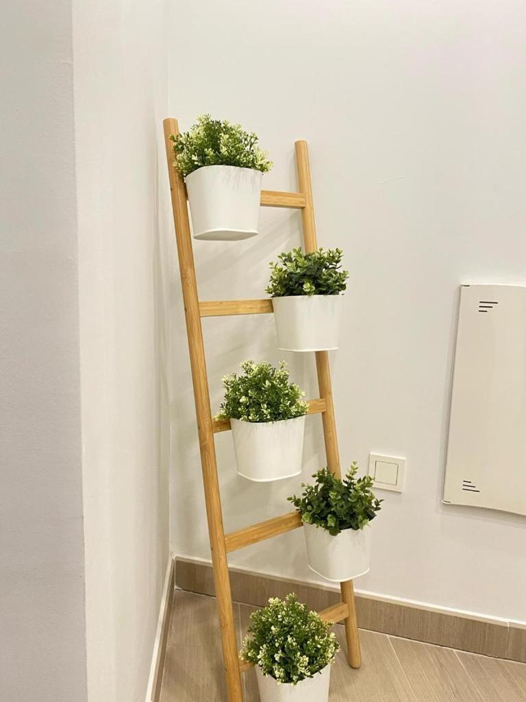 Brisa Puerto Marina Apartments 베날마데나코스타 외부 사진